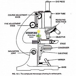 My Special Project: Autoscope (Automatic Microscope Innovation/Upgrade Project)